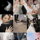 트렌디로그 - 고양시 일산동구 백마로 223 | 영상미에 진심인 예신이 선택한 본식 DVD 로그 계약후기