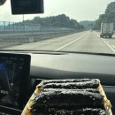 미르꼬마김밥