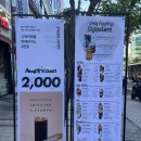 카페그레이 이미지
