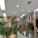 대교웰빙음식카페 이미지