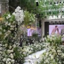 [💍Wedding ⑲ 미어미르 본식 서브스냅 후기 (크레스트72) ]
