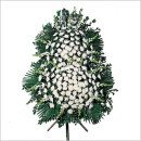 남양산길 이미지