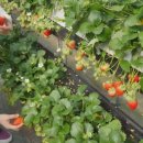 공감마취통증의학과의원 이미지