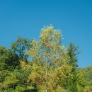 빨래터 컴퓨터 이미지