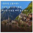[결혼과정] 신혼여행지 결정완💓_허니문 리조트 상담&amp;계약완료 솔직 상세 후기, 여행사별 장단점 비교