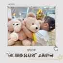 제주테디베어뮤지엄 | 테디베어 뮤지엄 제주점, 아이랑 실내에서 곰돌이 쇼핑하기 좋은 내돈내산 후기