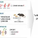지촌지 지디넷코리아