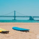 부산 - 창원시 마산합포구 | 부산