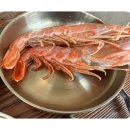 장어에빠지다 이미지