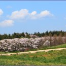 서산농장 이미지