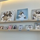 사진관;하연