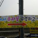 경호천 이미지