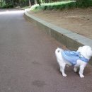 아람이네 이미지