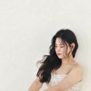 서당개 삼식이 애견샵 | 소르아에서 웨딩 촬영 안하고 뭐하세욧(웨딩 촬영 후기, 대만족 결과물 공유,애견동반🐶 가능)