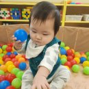 꽃처럼 - 송파구 올림픽로49길 8 | 꽃처럼