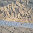 생기자리공원 이미지