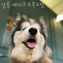 살롱메이크 오목교점