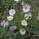 원성목욕탕 이미지