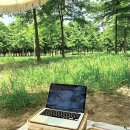 블루문디자인랩 이미지