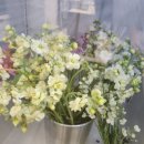 미크케이커리 이미지