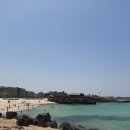 게으른 반달 이미지