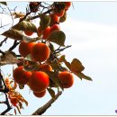 성모당(聖母堂) 이미지