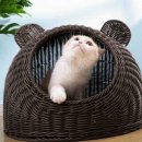 고양이집 이미지