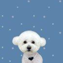 하얀이언니네 이미지