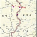 신한은행(1055) Daum카페