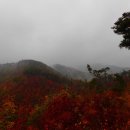 부귀산주차장 이미지