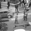 1961 이미지
