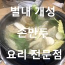 손만두야