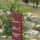 스텔라떡볶이전주진북점 | [전주 대형카페] 디오니 카페 솔직 후기 | 해변 컨셉 감성 카페 완전 정복 🌊