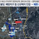 비바스크린골프장