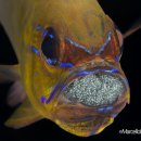 부킹당구장 이미지