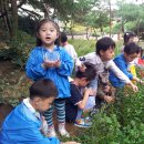 화인유치원 이미지