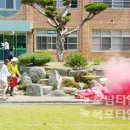 돌산초등학교 이미지