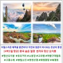 원트리투어 이미지