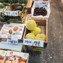 명진청과 네이버블로그