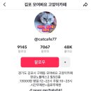 모여봐요 고양이카페 이미지