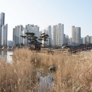 한강신도시 호수공원 이미지
