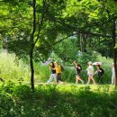 제주올레 이미지