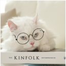 헬로우 독 이미지