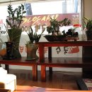 국시방 Daum카페