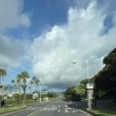 (주)롯데호텔제주 이미지