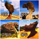 대만 예스지투어 1만원으로 가능!!(feat. 예류·스펀 풍등·지우펀 야경 코스 총정리 & 클룩 할인코드)