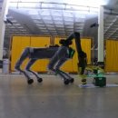 (주)보행글로벌 이미지