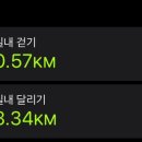 식물원김밥 이미지