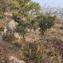 지우농원 이미지