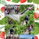 구항농장 이미지